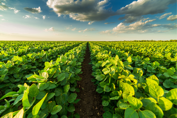 Reefer Trailers for Agriculture