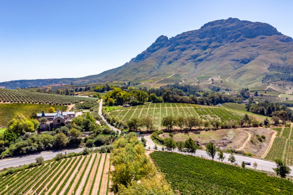 Reefer Trailers for Wineries and Vineyards